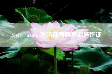 张家口消防证国网查询操作证