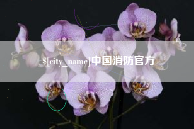 张家口中国消防官方