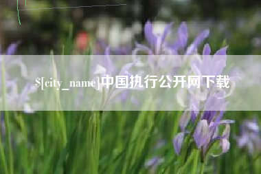 张家口中国执行公开网下载
