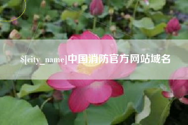 张家口中国消防官方网站域名