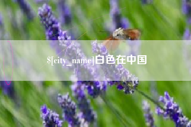 张家口白色在中国
