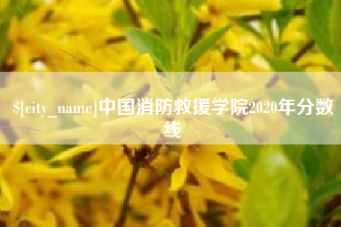 张家口中国消防救援学院2020年分数线
