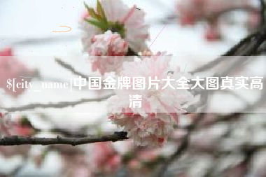 张家口中国金牌图片大全大图真实高清