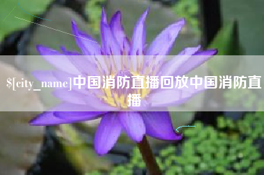 张家口中国消防直播回放中国消防直播