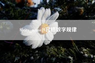 张家口9宫格数字规律