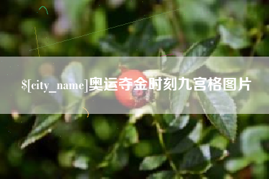 张家口奥运夺金时刻九宫格图片
