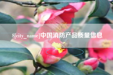 张家口中国消防产品质量信息