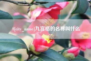 张家口九宫格的名称叫什么