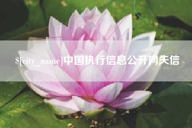 张家口中国执行信息公开网失信