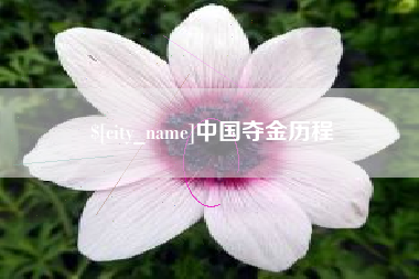张家口中国夺金历程