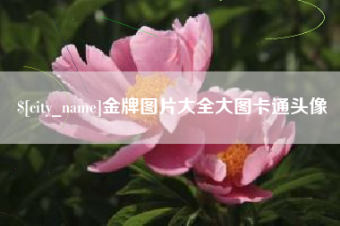 张家口金牌图片大全大图卡通头像