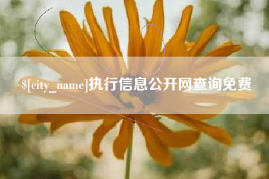 张家口执行信息公开网查询免费