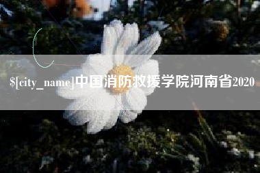 张家口中国消防救援学院河南省2020